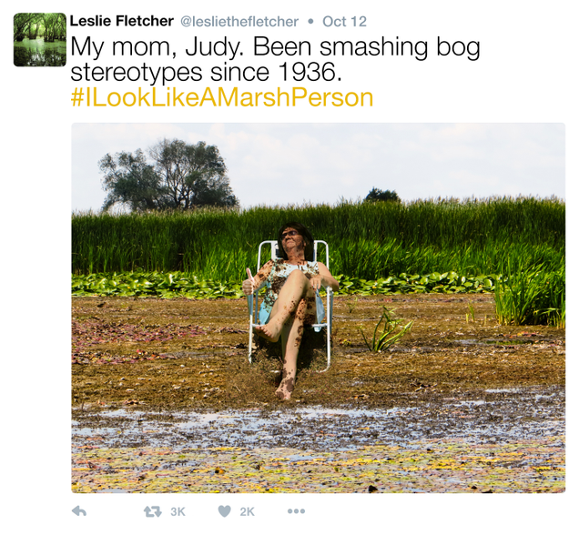 Illustration for article titled Feminism FTW! The Incredible Women Behind #ILookLikeAMarshPerson Are Turning The Table On Sexism In Swamps